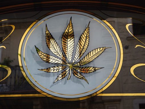 Hash & Marihuana Museum